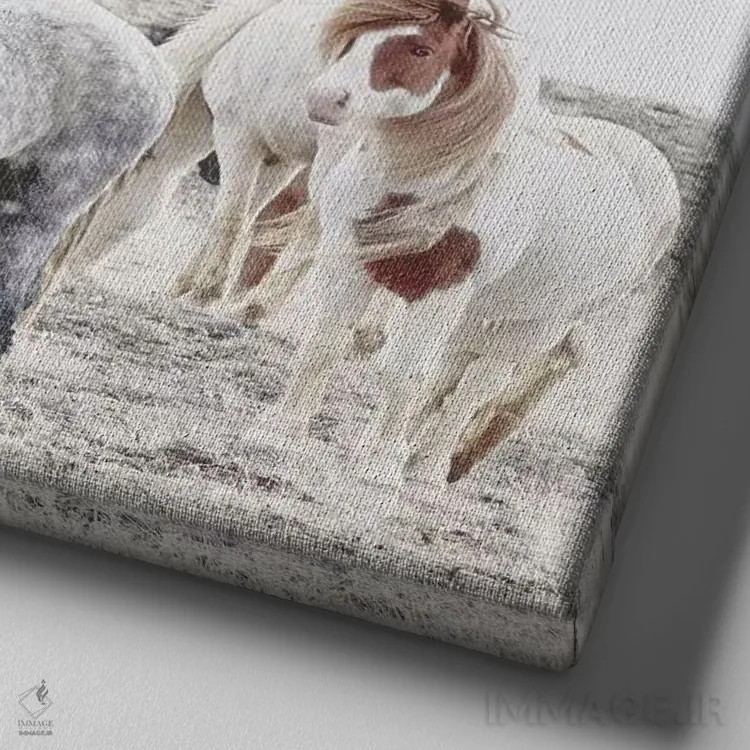 تابلو اسبهای وحشی و آزاد ایسلند I (مربع) اثر مونیکا استریگل - نمای نزدیک بافت بوم