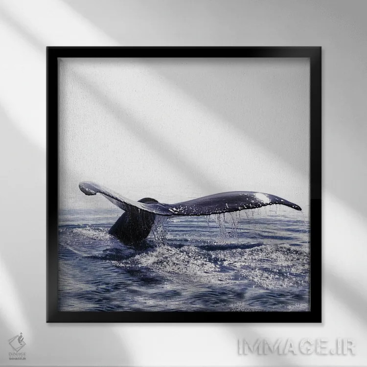 تابلو آواز نهنگ ایسلند I (مربع) اثر مونیکا استریگل - نمای قابدار مشکی