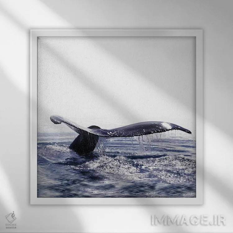 تابلو آواز نهنگ ایسلند I (مربع) اثر مونیکا استریگل - نمای قابدار سفید