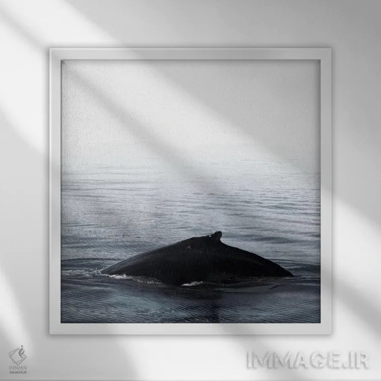 تابلو آواز نهنگ III آبی ایسلند (مربع) اثر مونیکا استریگل - نمای قابدار سفید