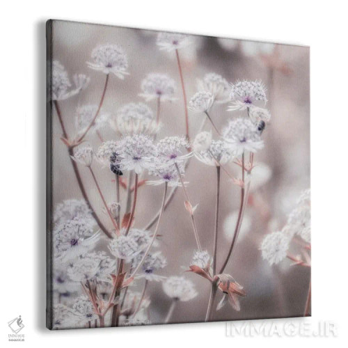 تابلو گل وحشی پاستلی IV (مربع) اثر مونیکا استریگل - نمای پرسپکتیو محصول