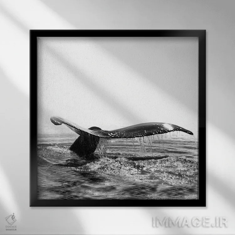 تابلو آواز نهنگ I ایسلند سیاه و سفید (مربع) اثر مونیکا استریگل - نمای قابدار مشکی