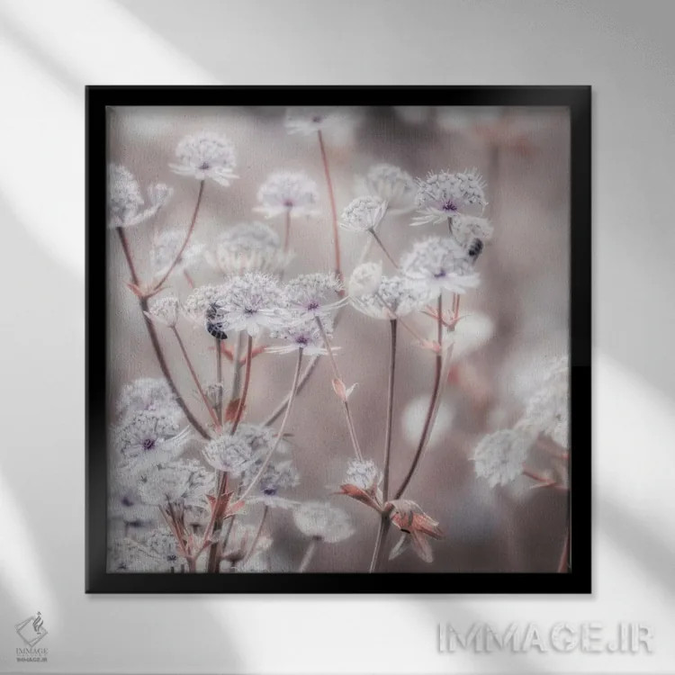 تابلو گل وحشی پاستلی IV (مربع) اثر مونیکا استریگل - نمای قابدار مشکی
