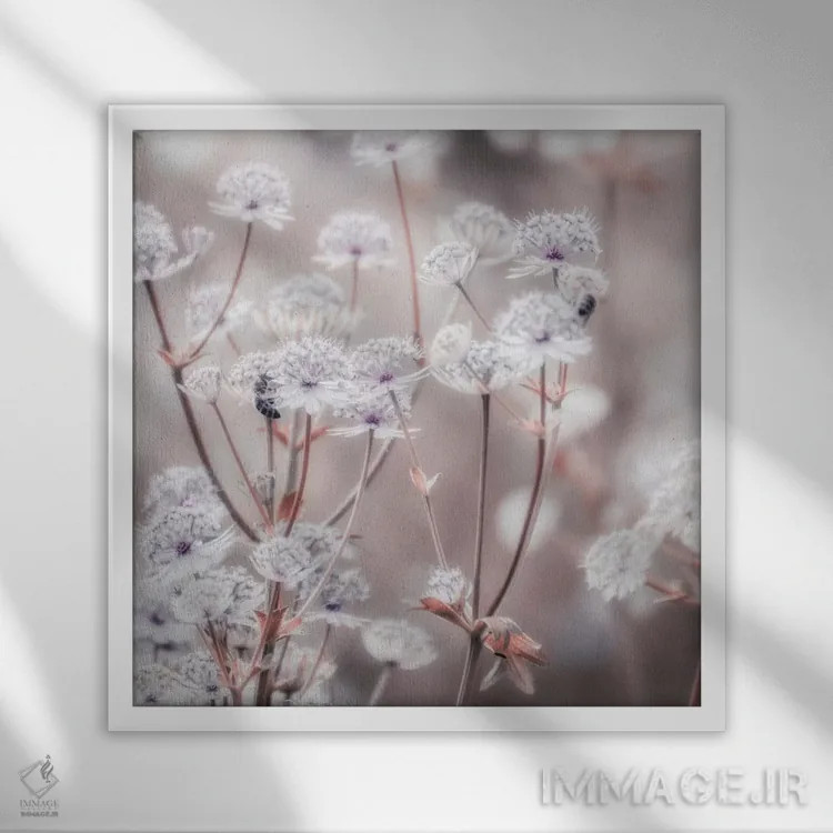 تابلو گل وحشی پاستلی IV (مربع) اثر مونیکا استریگل - نمای قابدار سفید
