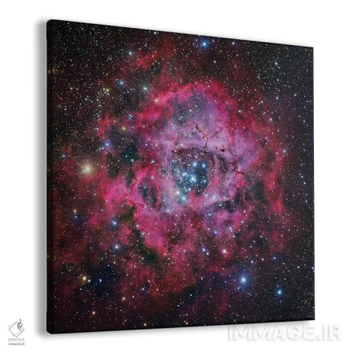 تابلو سحابی گل رز در تکشاخ (موزاییکی) اثر رابرت گندلر - نمای پرسپکتیو محصول