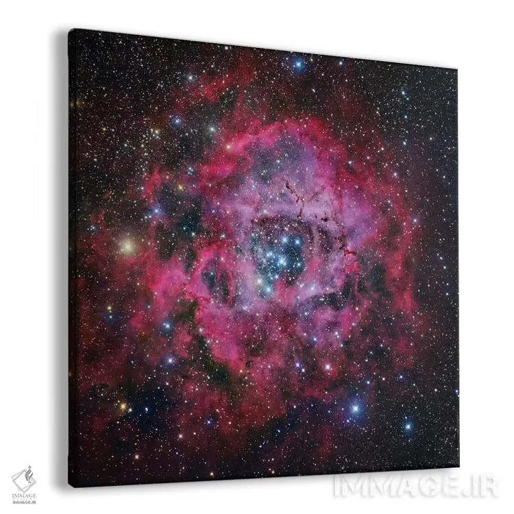 تابلو سحابی گل رز در تکشاخ (موزاییکی) اثر رابرت گندلر - نمای پرسپکتیو محصول