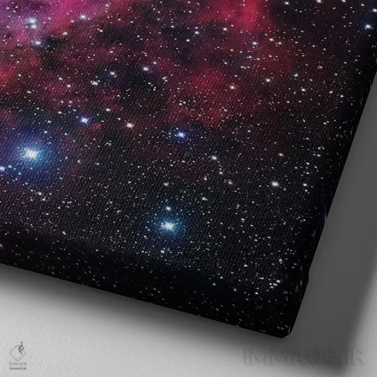 تابلو سحابی گل رز در تکشاخ (موزاییکی) اثر رابرت گندلر - نمای نزدیک بافت بوم