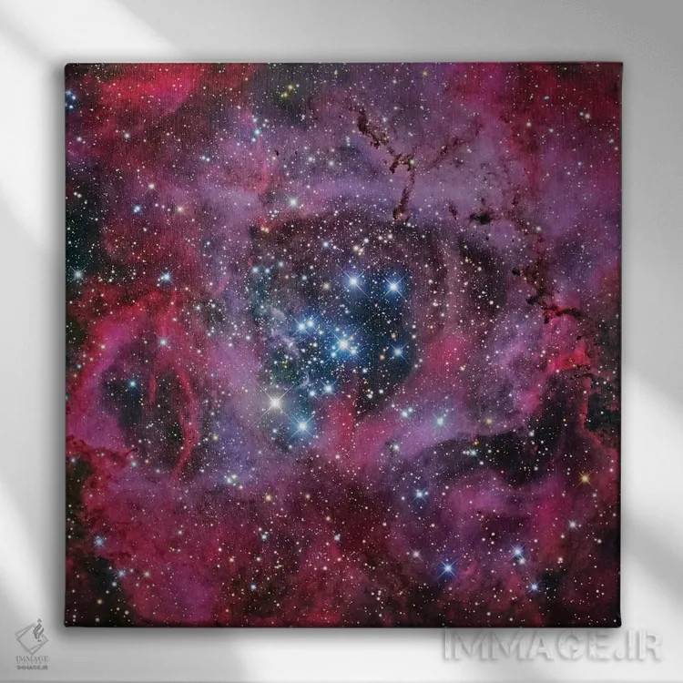 تابلو سحابی گل رز اثر رابرت گندلر - نمای روبهرو روی دیوار