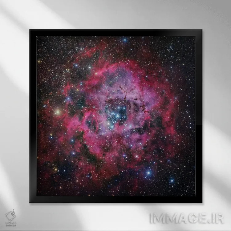 تابلو سحابی گل رز در تکشاخ (موزاییکی) اثر رابرت گندلر - نمای قابدار مشکی