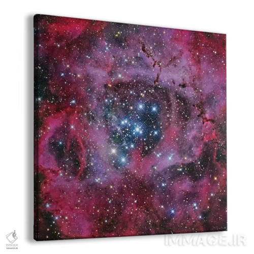 تابلو سحابی گل رز اثر رابرت گندلر - نمای پرسپکتیو محصول