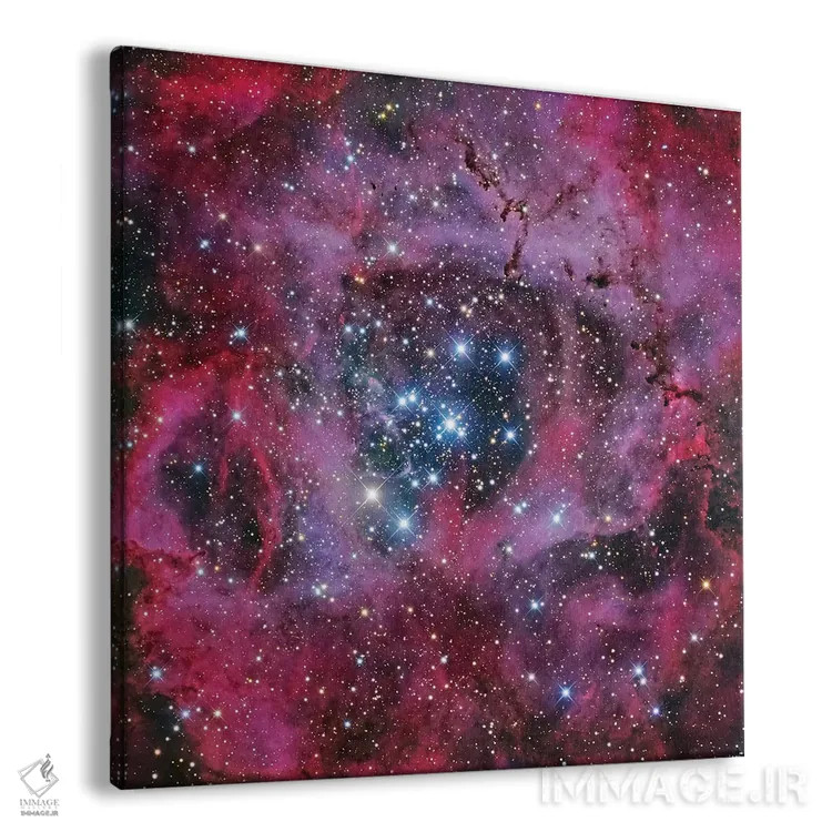 تابلو سحابی گل رز اثر رابرت گندلر - نمای پرسپکتیو محصول