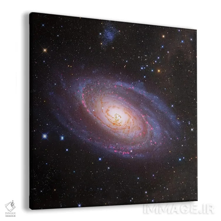 تابلو M81 Spiral Galaxy In Ursa Major III,کهکشان بود (M81) کهکشان مارپیچی در دب اکبر III اثر رابرت گندلر - نمای پرسپکتیو محصول