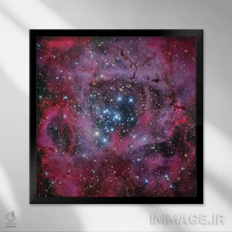 تابلو سحابی گل رز اثر رابرت گندلر - نمای قابدار مشکی