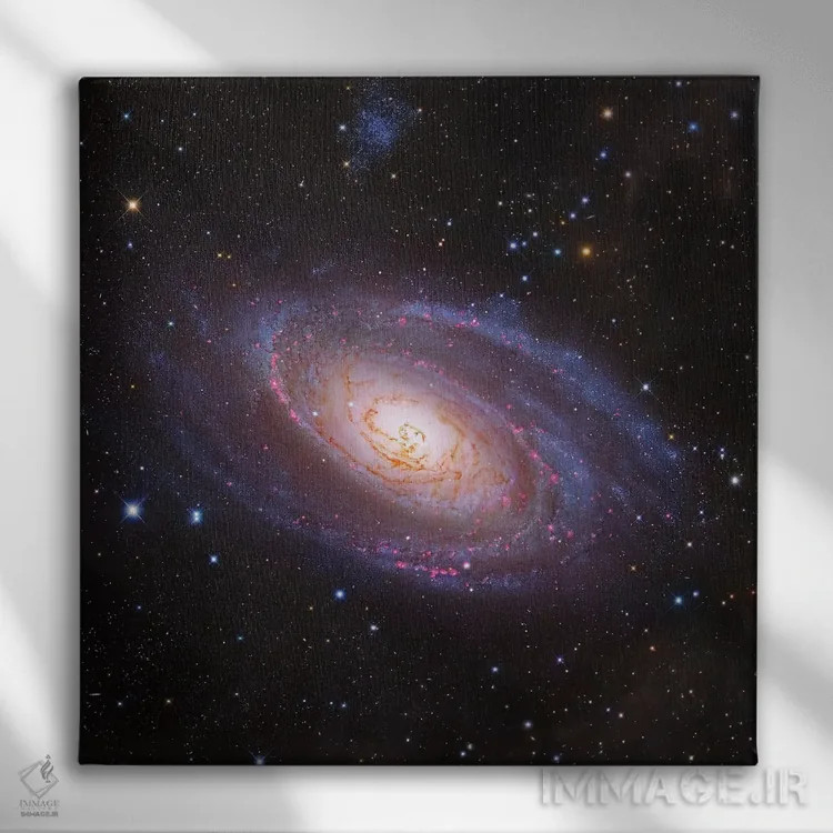 تابلو M81 Spiral Galaxy In Ursa Major III,کهکشان بود (M81) کهکشان مارپیچی در دب اکبر III اثر رابرت گندلر - نمای روبهرو روی دیوار