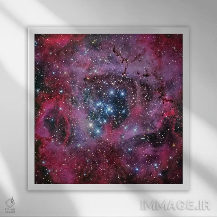 تابلو سحابی گل رز اثر رابرت گندلر - نمای قابدار سفید