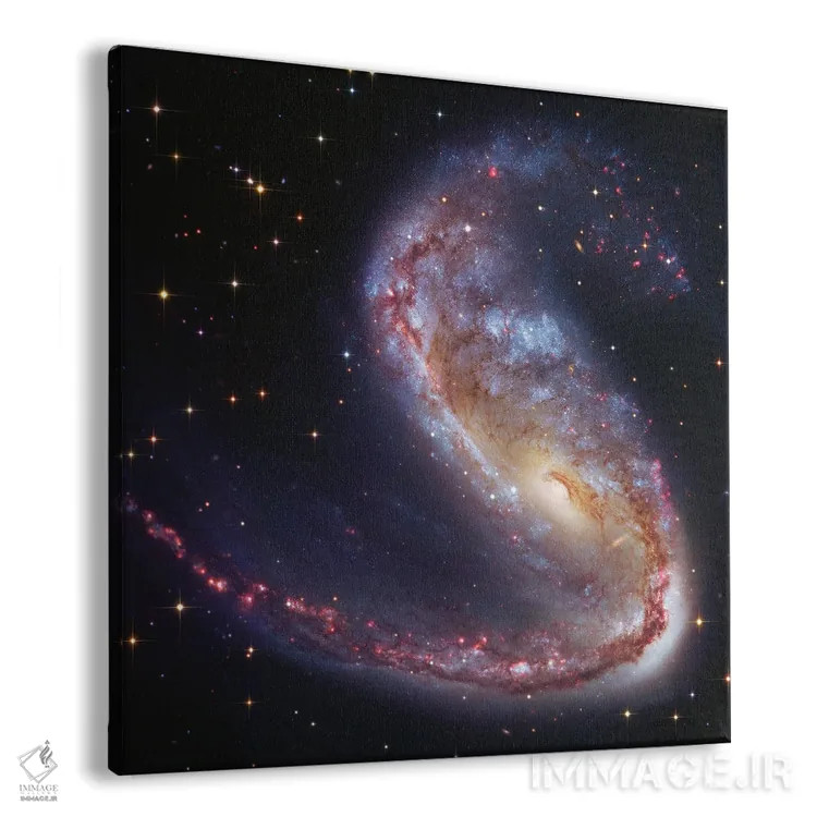 تابلو کهکشان قلابماهی (NGC2442) اثر رابرت گندلر - نمای پرسپکتیو محصول