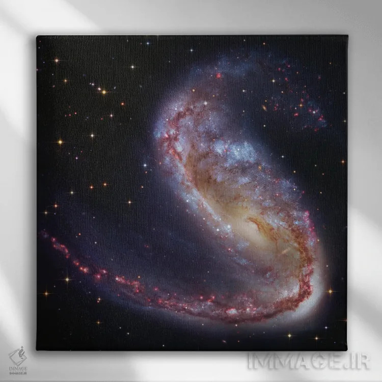 تابلو کهکشان قلابماهی (NGC2442) اثر رابرت گندلر - نمای روبهرو روی دیوار