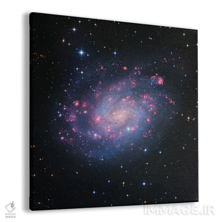 تابلو Hubble Space Telescope (NGC 300),کهکشان مارپیچی در صورت فلکی حجّار، تلسکوپ هابل (NGC 300) اثر رابرت گندلر - نمای پرسپکتیو محصول