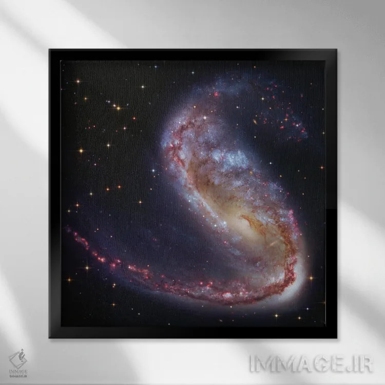 تابلو کهکشان قلابماهی (NGC2442) اثر رابرت گندلر - نمای قابدار مشکی