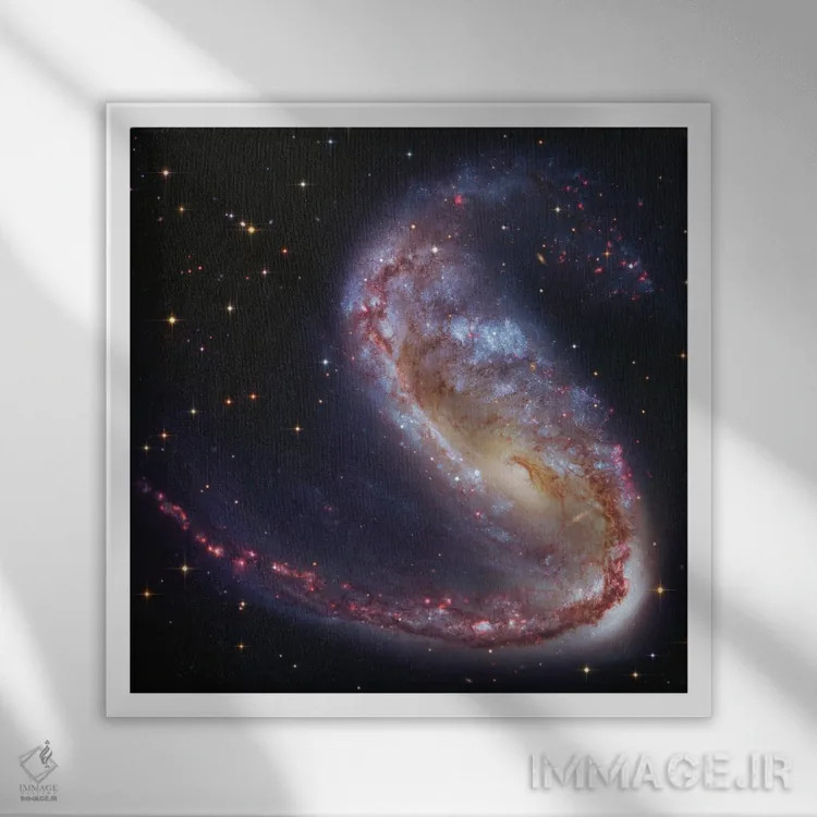 تابلو کهکشان قلابماهی (NGC2442) اثر رابرت گندلر - نمای قابدار سفید