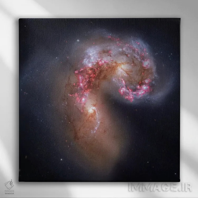 تابلو کهکشانهای در حال تعامل در غراب (NGC 4038) I اثر رابرت گندلر - نمای روبهرو روی دیوار