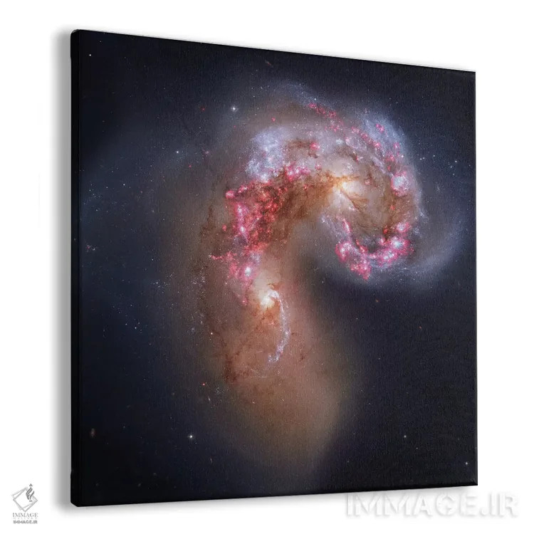 تابلو کهکشانهای در حال تعامل در غراب (NGC 4038) I اثر رابرت گندلر - نمای پرسپکتیو محصول