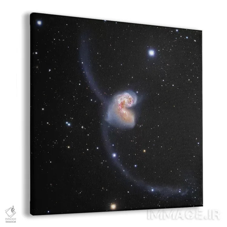 تابلو کهکشانهای در حال تعامل در غراب (NGC 4038) II اثر رابرت گندلر - نمای پرسپکتیو محصول