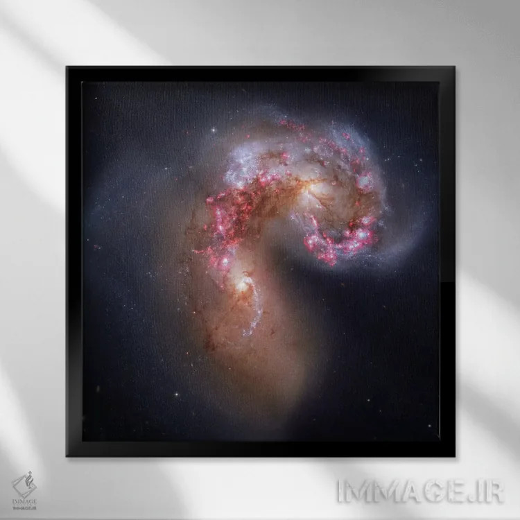 تابلو کهکشانهای در حال تعامل در غراب (NGC 4038) I اثر رابرت گندلر - نمای قابدار مشکی