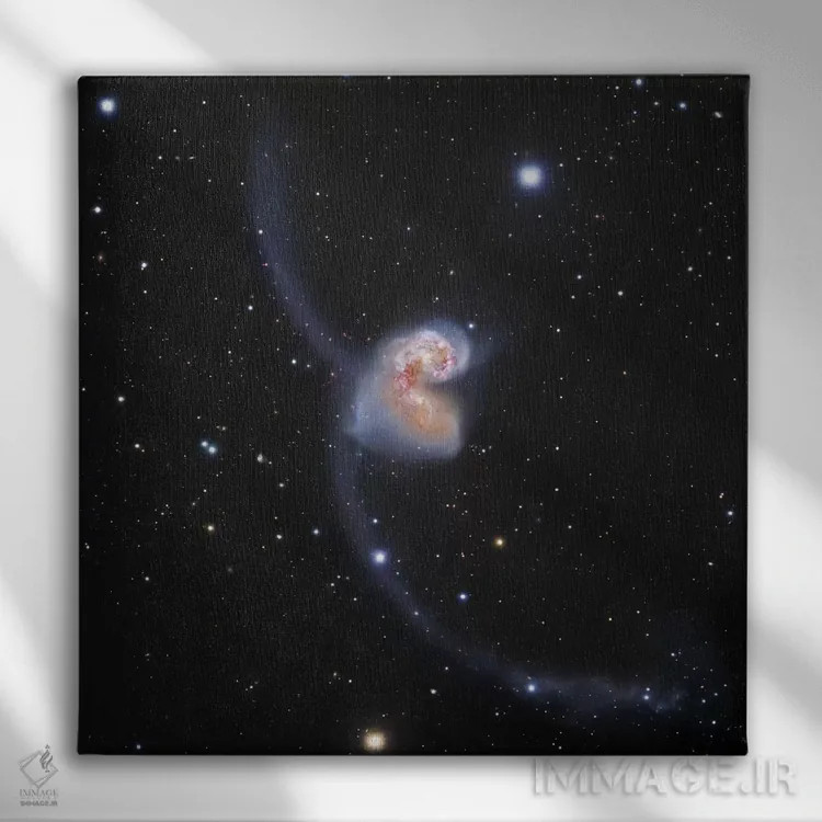 تابلو کهکشانهای در حال تعامل در غراب (NGC 4038) II اثر رابرت گندلر - نمای روبهرو روی دیوار