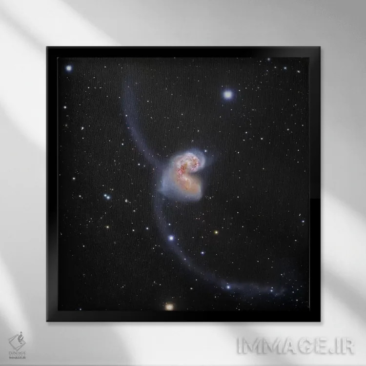 تابلو کهکشانهای در حال تعامل در غراب (NGC 4038) II اثر رابرت گندلر - نمای قابدار مشکی