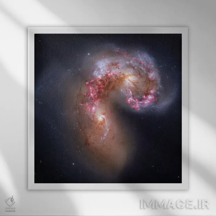 تابلو کهکشانهای در حال تعامل در غراب (NGC 4038) I اثر رابرت گندلر - نمای قابدار سفید