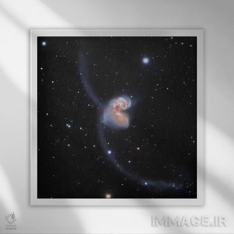 تابلو کهکشانهای در حال تعامل در غراب (NGC 4038) II اثر رابرت گندلر - نمای قابدار سفید