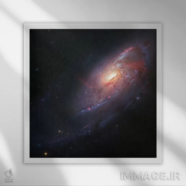 تابلو Spiral Galaxy In Canes Venatici I,M106، کهکشان مارپیچی در تازیها I اثر رابرت گندلر - نمای قابدار سفید