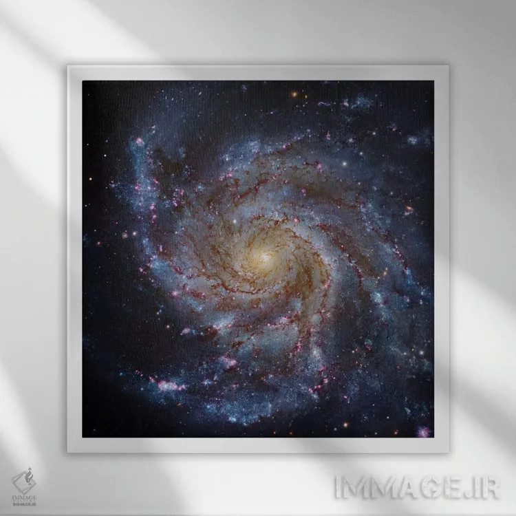 تابلو The Pinwheel Galaxy,M101، کهکشان فرفرهای اثر رابرت گندلر - نمای قابدار سفید