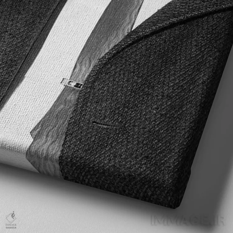 تابلو 1964،ملک (مارتین لوتر کینگ) و مالکوم ایکس، ۱۹۶۴ اثر ناشناس - نمای نزدیک بافت بوم