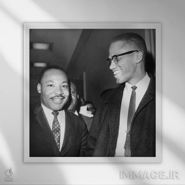 تابلو 1964،ملک (مارتین لوتر کینگ) و مالکوم ایکس، ۱۹۶۴ اثر ناشناس - نمای قابدار سفید