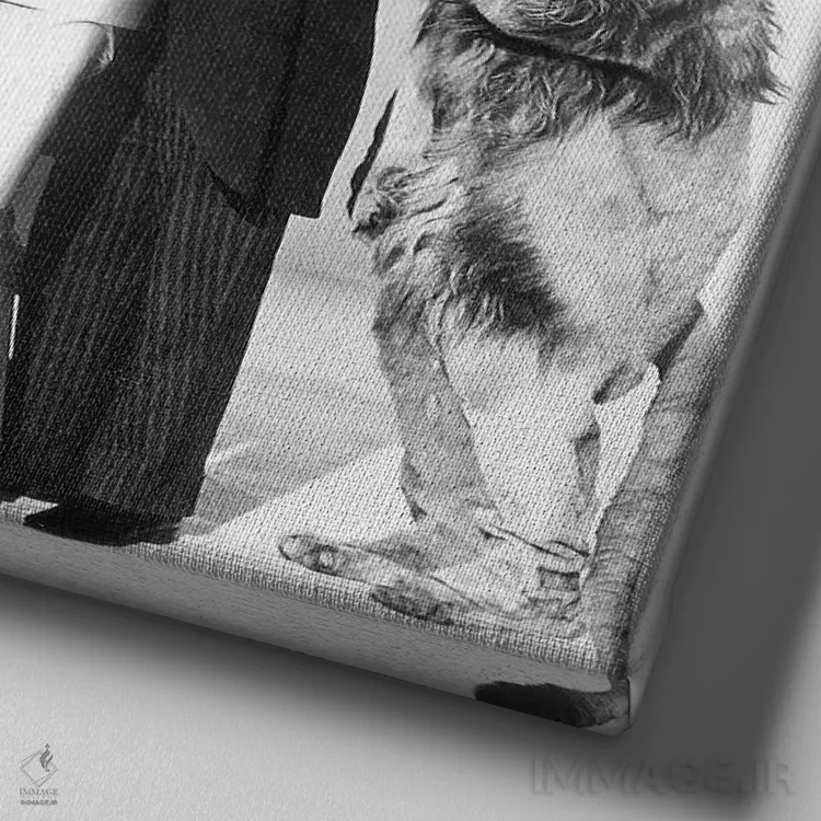 تابلو 1939،جادوگر شهر اُز، ۱۹۳۹ (فیلم) اثر ناشناس - نمای نزدیک بافت بوم