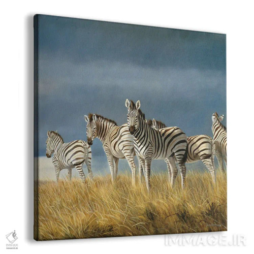 تابلو زمان رفتن گورخرها اثر گرانت هکینگ - نمای پرسپکتیو محصول