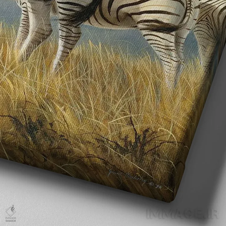 تابلو زمان رفتن گورخرها اثر گرانت هکینگ - نمای نزدیک بافت بوم