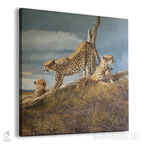 تابلو آفتاب در حال طلوع اثر گرانت هکینگ - نمای پرسپکتیو محصول