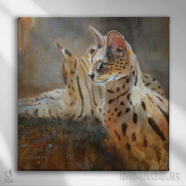 تابلو سروال (گربه وحشی آفریقایی) اثر گرانت هکینگ - نمای روبهرو روی دیوار