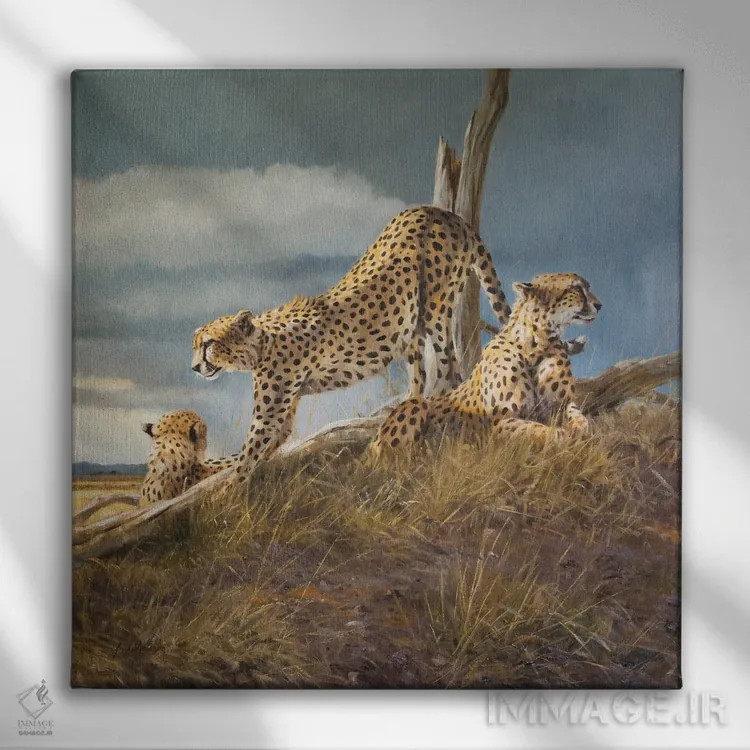 تابلو آفتاب در حال طلوع اثر گرانت هکینگ - نمای روبهرو روی دیوار