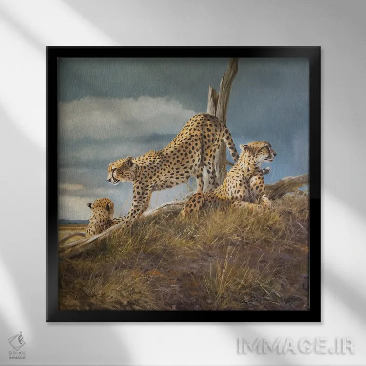 تابلو آفتاب در حال طلوع اثر گرانت هکینگ - نمای قابدار مشکی