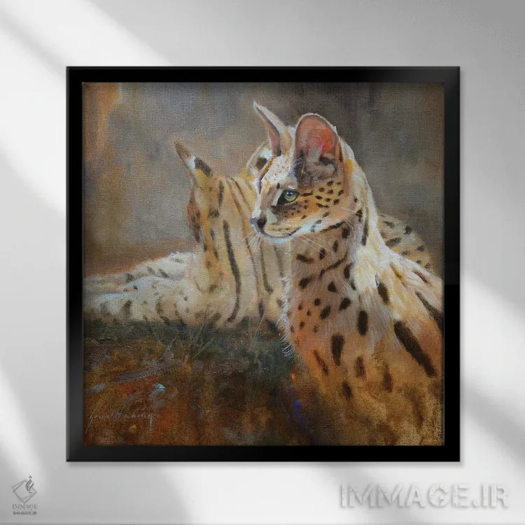 تابلو سروال (گربه وحشی آفریقایی) اثر گرانت هکینگ - نمای قابدار مشکی