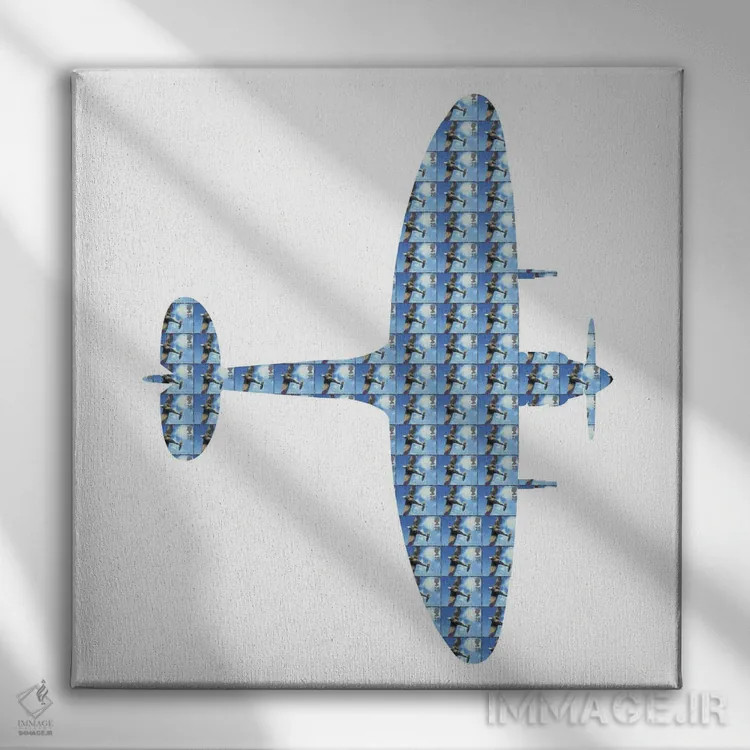 تابلو اسپیتفایر (جنگنده) اثر گری هاگبن - نمای روبهرو روی دیوار