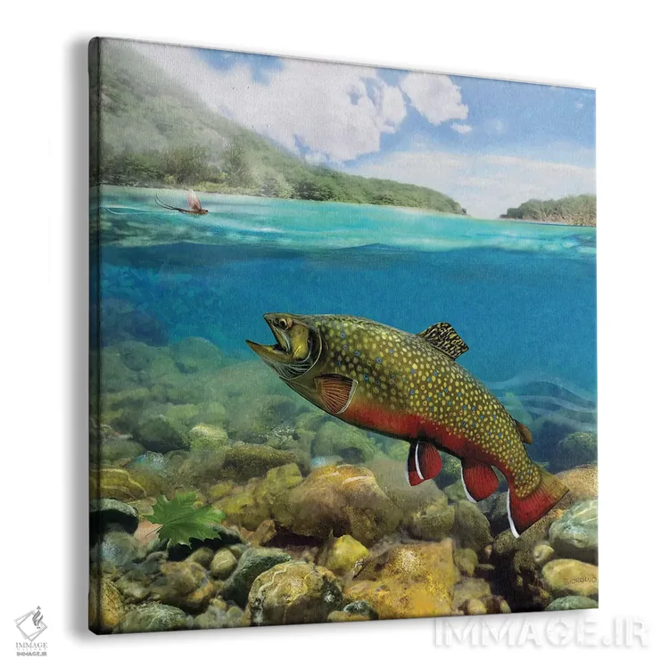 تابلو قزلآلا در آب کمعمق (نوع ماهی) اثر جوردانو استودیو (استودیوی هنری) - نمای پرسپکتیو محصول