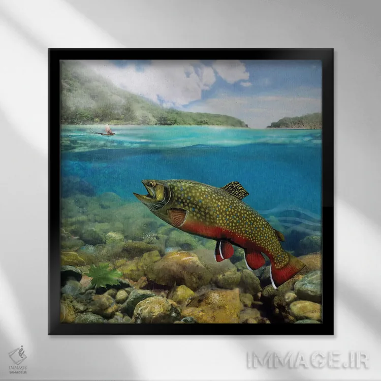 تابلو قزلآلا در آب کمعمق (نوع ماهی) اثر جوردانو استودیو (استودیوی هنری) - نمای قابدار مشکی