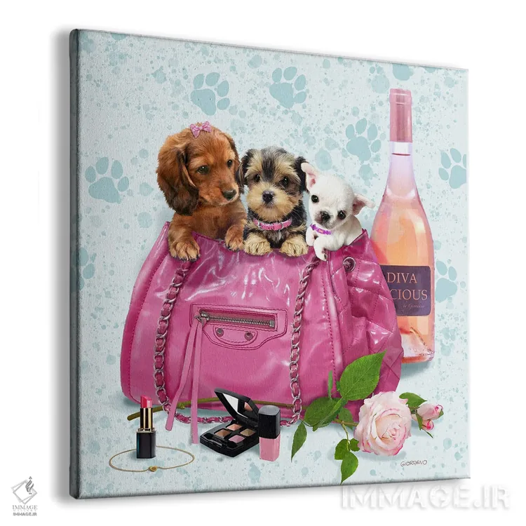 تابلو سهقلوی خانمهای ستاره اثر جوردانو استودیو (استودیوی هنری) - نمای پرسپکتیو محصول