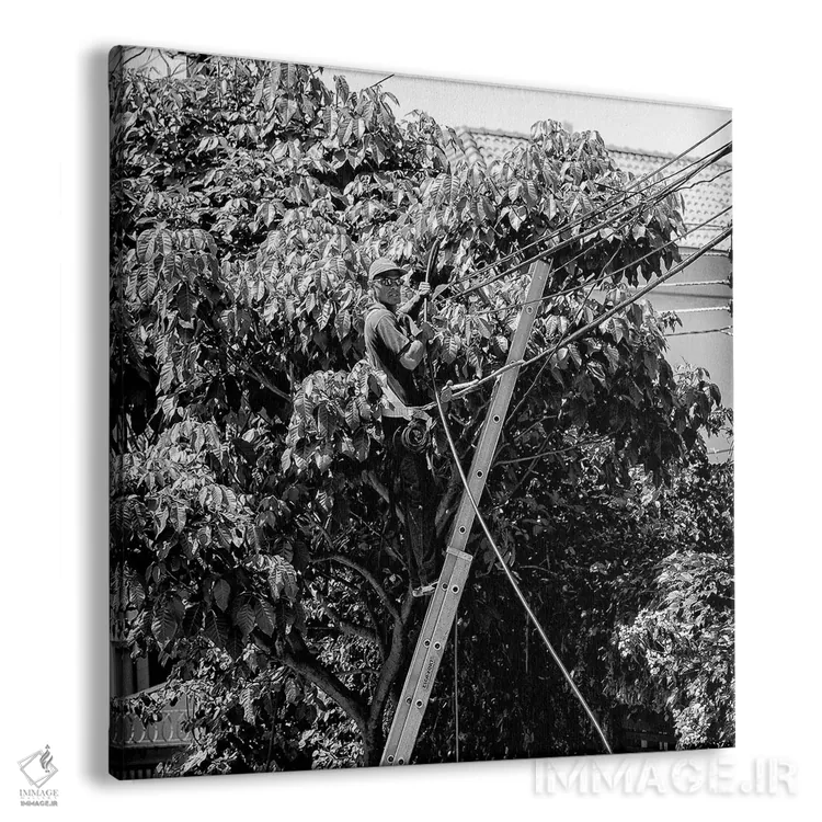 تابلو عکاسی خیابانی ۴ اثر گلاوکو منهالی - نمای پرسپکتیو محصول