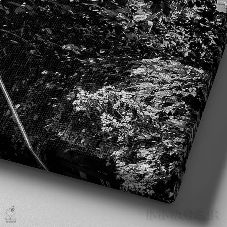 تابلو عکاسی خیابانی ۴ اثر گلاوکو منهالی - نمای نزدیک بافت بوم